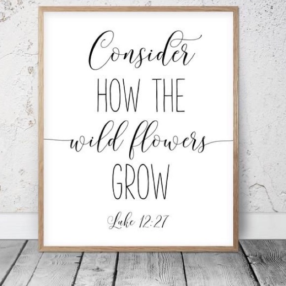 💖FILTER-ITS WORTH IT💖… - Picture 8 of 16